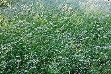 《最终幻想7 核心危机 重聚》新预告公开 12月13日发售